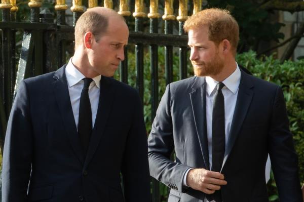 Royal expert Sarah Hewson claimed Mo<em></em>nday that Prince William has "no plans" to see his younger brother, Prince Harry, except for when they both attend a family funeral. 