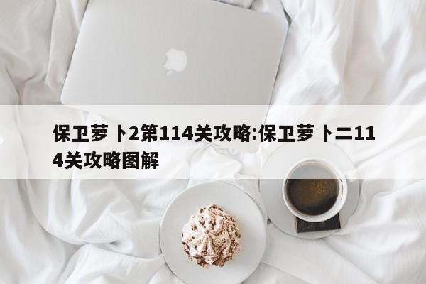 保卫萝卜2第114关攻略:保卫萝卜二114关攻略图解