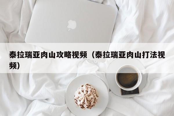 泰拉瑞亚肉山攻略视频（泰拉瑞亚肉山打法视频）
