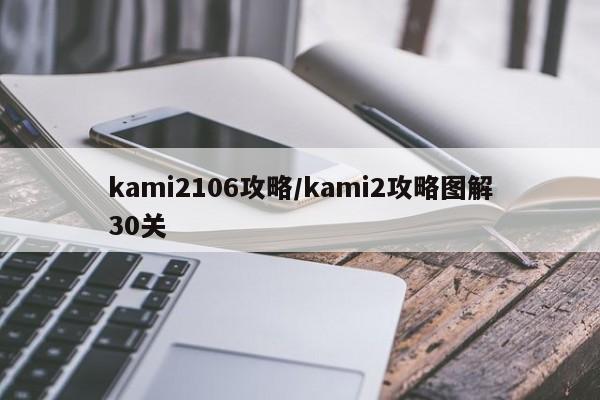 kami2106攻略/kami2攻略图解30关