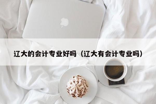 辽大的会计专业好吗（辽大有会计专业吗）