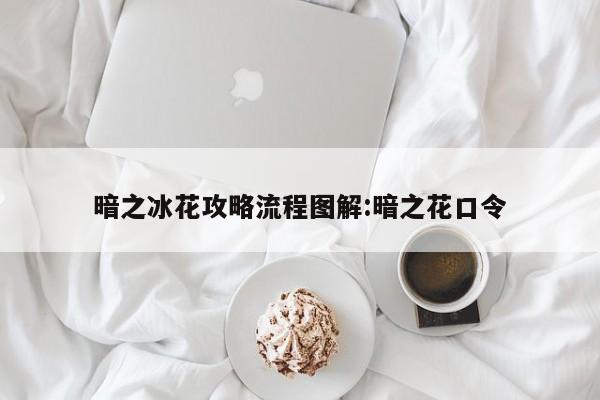 暗之冰花攻略流程图解:暗之花口令