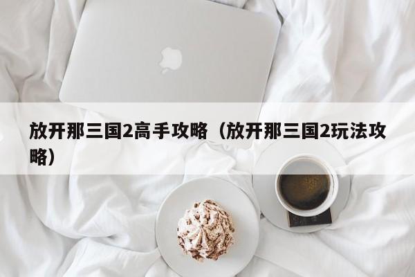 放开那三国2高手攻略（放开那三国2玩法攻略）