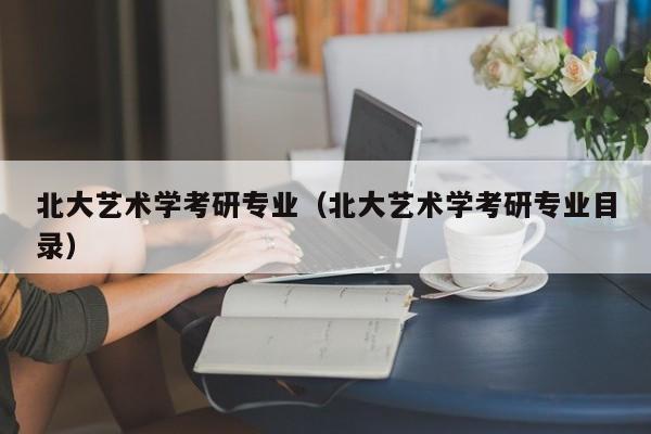 北大艺术学考研专业（北大艺术学考研专业目录）